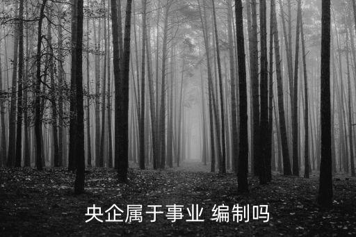 央企屬于事業 編制嗎