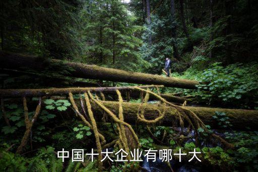 中國十大企業有哪十大