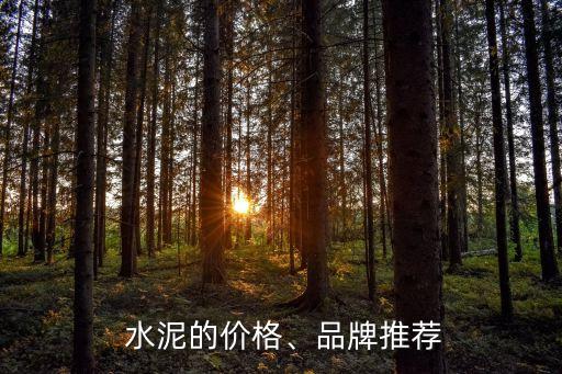 上海自貿區南方水泥,上海南方水泥主要領導名單