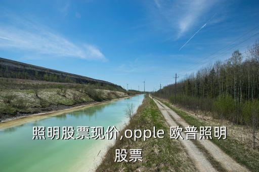 歐普照明股票現價,opple 歐普照明股票...