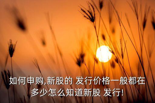 股票發行價怎么看,同花順軟件股票發行價怎么看