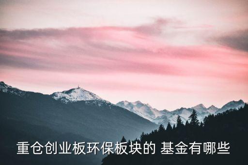 重倉創業板環保板塊的 基金有哪些