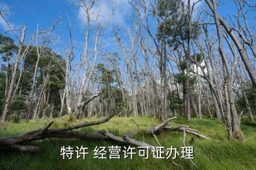 特許 經營許可證辦理