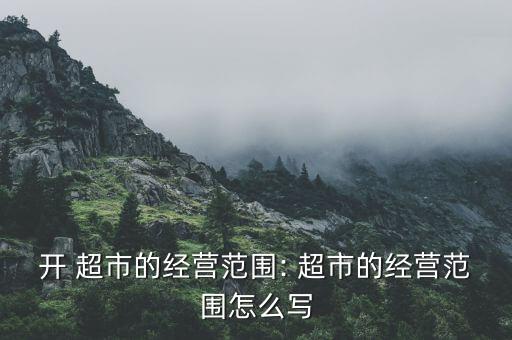 上海聯華超市的擴張戰略,聯華超市戰略管理分析報告
