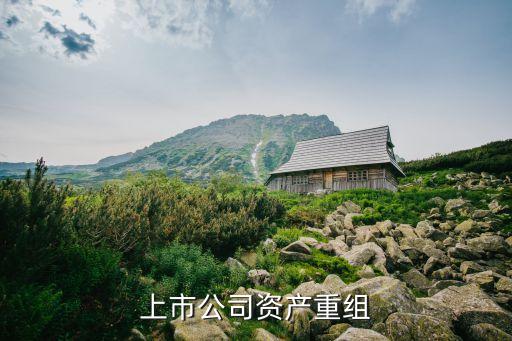 行業集團重整管理方案,哈工大集團重整方案2022