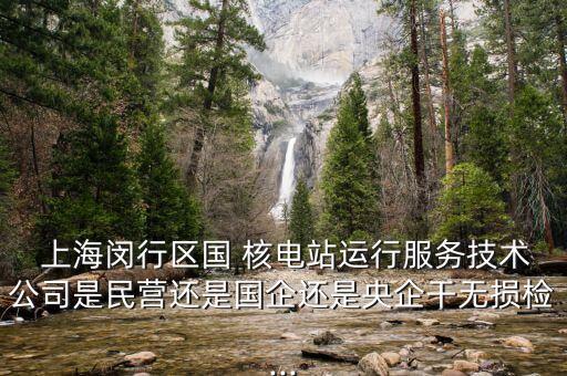  上海閔行區國 核電站運行服務技術公司是民營還是國企還是央企干無損檢...
