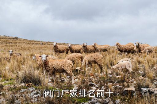 蘇州中核蘇閥科技實業股份有限公司,中核蘇閥科技實業股份有限公司怎么樣