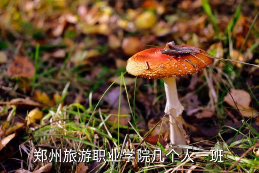 鄭州旅游職業學院幾個人一班