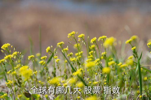 全球有哪幾大 股票 指數