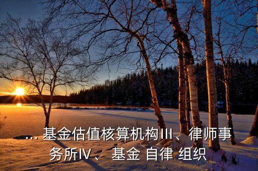 ... 基金估值核算機(jī)構(gòu)Ⅲ、律師事務(wù)所Ⅳ、 基金 自律 組織