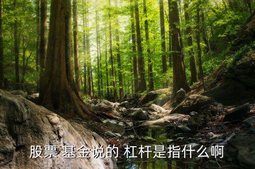 指數杠桿型基金,現在還有杠桿型基金嗎