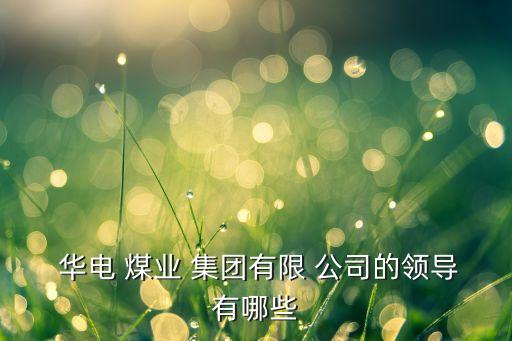  華電 煤業 集團有限 公司的領導有哪些