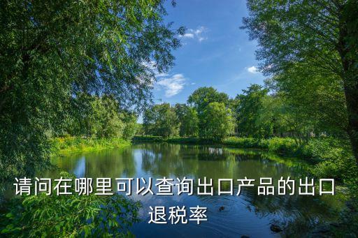 中國退稅網,網文作者怎么退稅