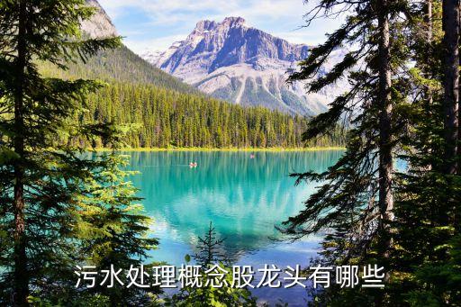 中國環保投資股份,中國未來環保投資