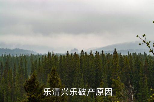 浙江樂清市電力實業有限總公司
