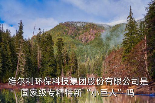  維爾利環保科技集團股份有限公司是國家級專精特新“小巨人”嗎