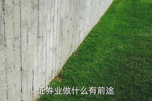 證券業做什么有前途