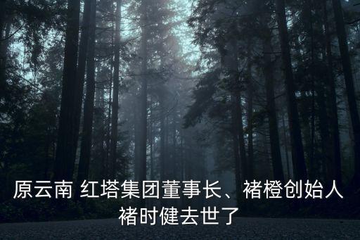 原云南 紅塔集團董事長、褚橙創始人褚時健去世了
