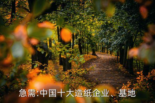 急需:中國十大造紙企業、基地