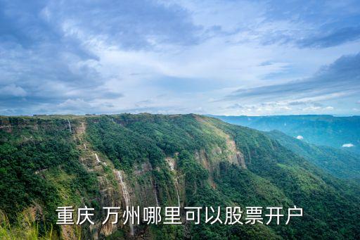 萬州區(qū)國(guó)有資產(chǎn)擔(dān)保有限公司是哪出資成立的