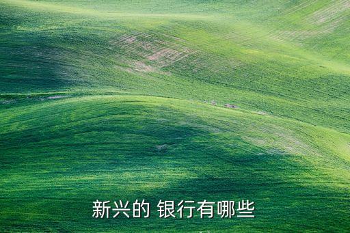溫州民商銀行開業