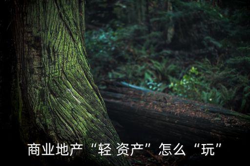 商業地產“輕 資產”怎么“玩”