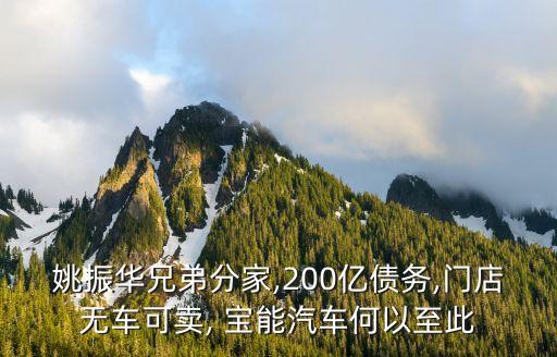 姚振華兄弟分家,200億債務,門店無車可賣, 寶能汽車何以至此
