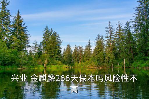 興業 金麒麟266天保本嗎風險性不高