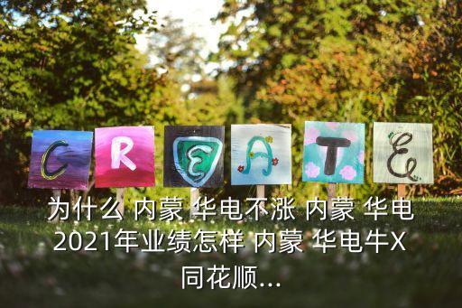 為什么 內蒙 華電不漲 內蒙 華電2021年業績怎樣 內蒙 華電牛X同花順...