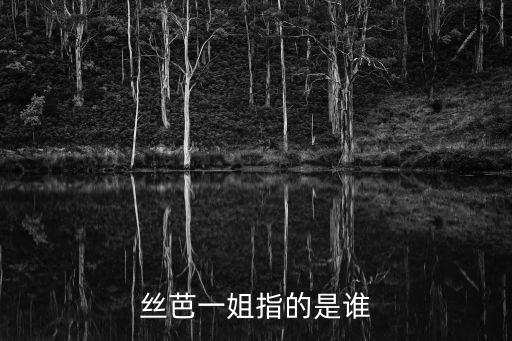 華人文化產業投資基金相關的股票,幕后投資者是中國華人文化產業投資基金