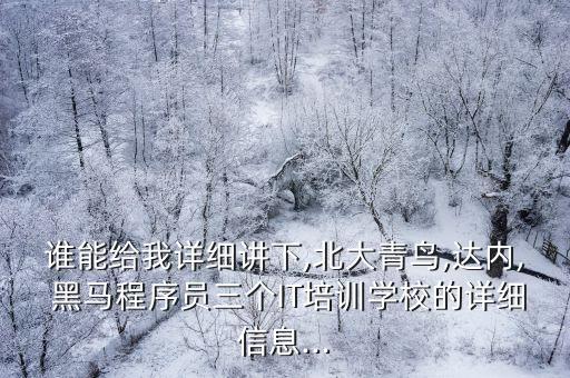 誰能給我詳細講下,北大青鳥,達內, 黑馬程序員三個IT培訓學校的詳細信息...