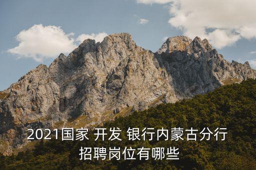 2021國家 開發 銀行內蒙古分行 招聘崗位有哪些