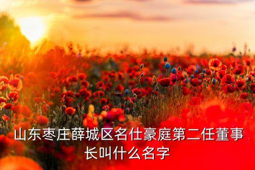  山東棗莊薛城區名仕豪庭第二任董事長叫什么名字