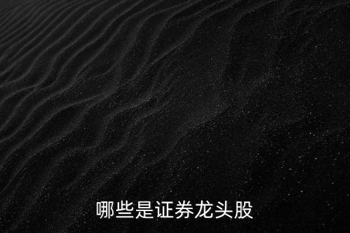 持有券商股數最多的上市公司,持有香港券商的上市公司