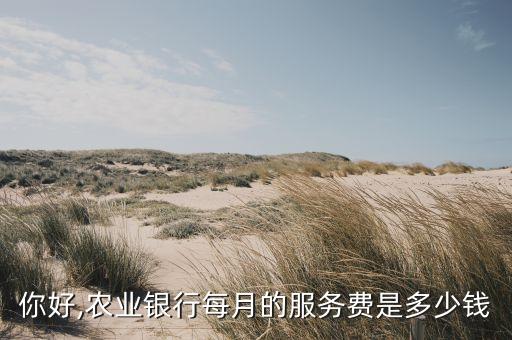 你好,農業銀行每月的服務費是多少錢