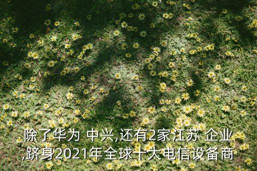 除了華為 中興,還有2家江蘇 企業,躋身2021年全球十大電信設備商