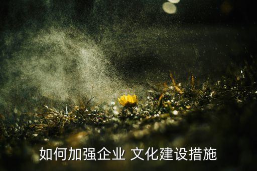 中色非洲礦業有限公司企業文化建設研究,張家峁礦業有限公司企業文化理念