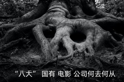 國有電影發行公司,人間指南電影發行公司