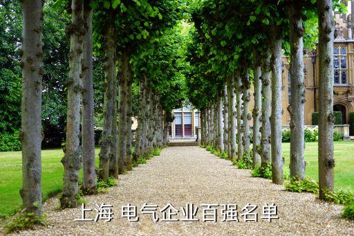 上海振華重工電氣有限公司規模