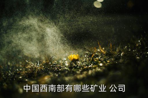 中國西南部有哪些礦業 公司