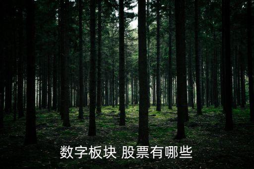 數字板塊 股票有哪些