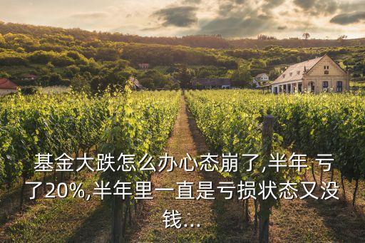  基金大跌怎么辦心態崩了,半年 虧了20%,半年里一直是虧損狀態又沒錢...