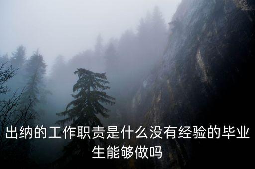 出納的工作職責是什么沒有經驗的畢業生能夠做嗎