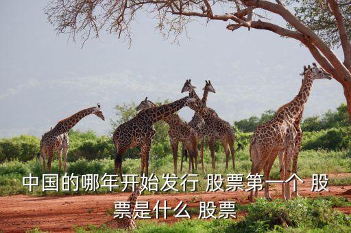 中國的哪年開始發行 股票第一個 股票是什么 股票