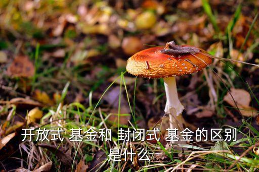 基金上市跟封閉式基金的區別,公募基金是封閉式基金還是開放式