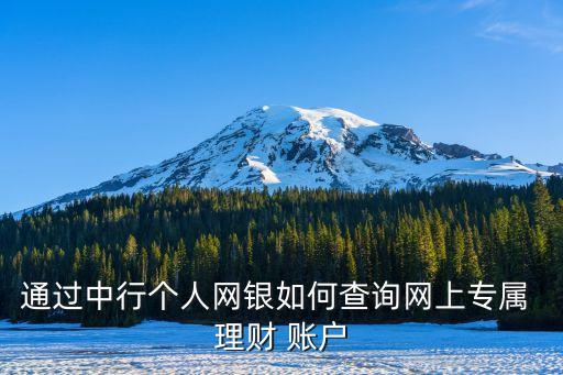 通過中行個人網銀如何查詢網上專屬 理財 賬戶