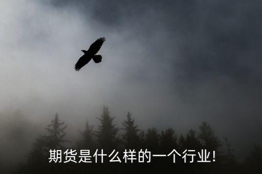  期貨是什么樣的一個行業!