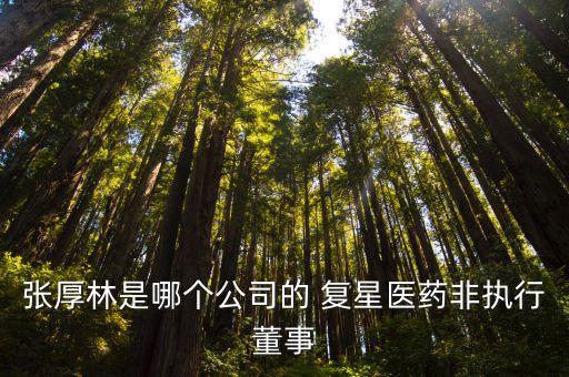 張厚林是哪個公司的 復星醫藥非執行董事