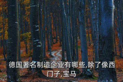  德國著名制造企業有哪些,除了像西門子,寶馬