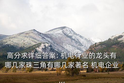 高分求詳細答案: 機電行業的龍頭有哪幾家珠三角有哪幾家著名 機電企業...